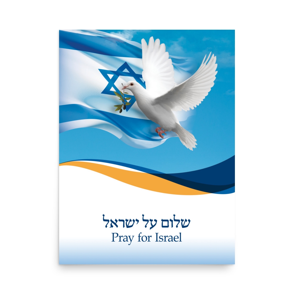 shalom Israel Poster wallpaper gift idea' Poster